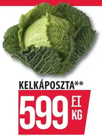 Kelkáposzta