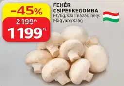 Auchan Fehér csiperkegomba ajánlat
