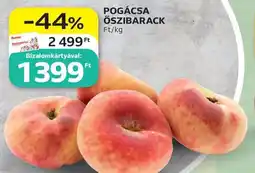 Auchan Pogácsa őszibarack ajánlat