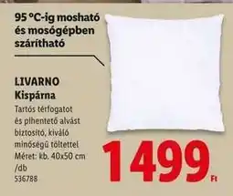 Lidl Livarno Kispárna ajánlat