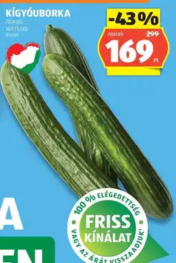 ALDI Kígyóuborka ajánlat