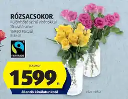 ALDI Rózsascokor ajánlat