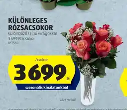 ALDI Különleges rózsacokor ajánlat
