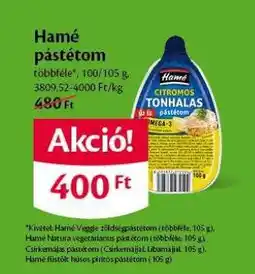 EcoFamily HAMÉ PÁSTÉTOM ajánlat
