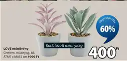 JYSK LOVE műnövény ajánlat