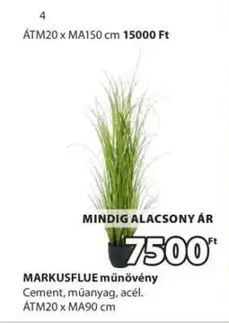 JYSK MARKUSFLUE MŰNÖVÉNY ajánlat