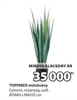 JYSK TOPPMEIS műnövény ajánlat