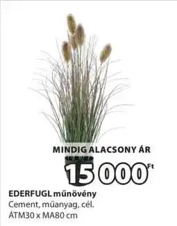 JYSK EDERFUGL műnövény ajánlat