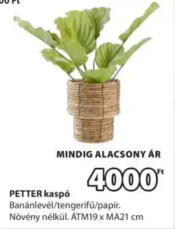 JYSK PETTER kaspó ajánlat