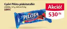 EcoFamily Győri Pilóta piskótatallér ajánlat
