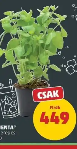 PENNY Menta ajánlat