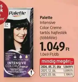 DM Palette ajánlat