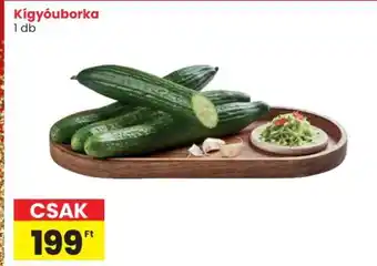 Kígyóuborka