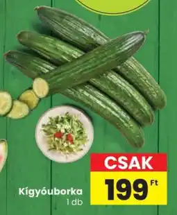 Spar Kígyóuborka ajánlat