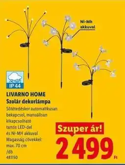 Lidl LIVARNO HOME Szolár dekorlámpa ajánlat