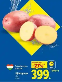 Lidl Újburgonya ajánlat