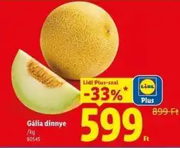 Lidl Gália dinnye ajánlat