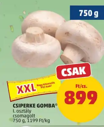 Csiperke gomba