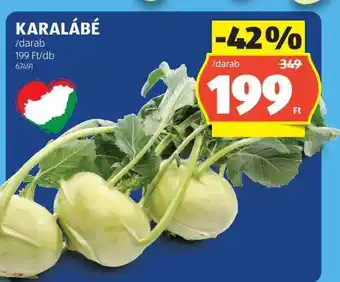 ALDI Karalábé ajánlat