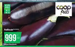 Coop Coop Friss Padlizsán ajánlat