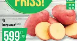 Coop Új burgonya ajánlat