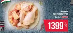 Coop Magyar Nagytestű tyúk ajánlat