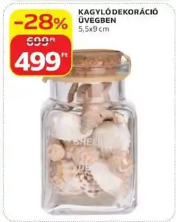 Auchan KAGYLÓ DEKORÁCIÓ ÜVEGBEN ajánlat