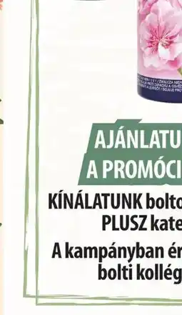 Coop Knorr levesek ajánlat