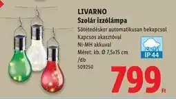 Lidl LIVARNO Szolár izzólámpa ajánlat