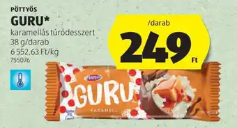 PÖTTYÖS Guru