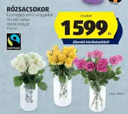 ALDI RÓZSACSOKOR ajánlat