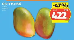 ALDI Érett Mangó ajánlat