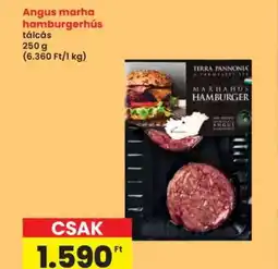 Interspar Angus marha hamburgerhús ajánlat