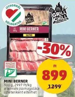 PENNY MINI BERNER ajánlat