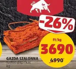 PENNY GAZDA SZALONNA ajánlat