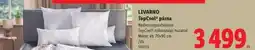 Lidl LIVARNO TopCool párna ajánlat