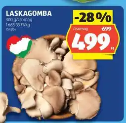ALDI Laskagomba ajánlat