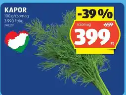 ALDI Kapor ajánlat