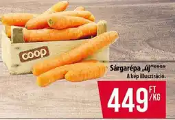Coop Sárgarépa ajánlat