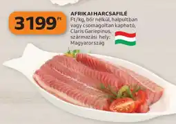 Auchan Afrikai Harcsafilé ajánlat