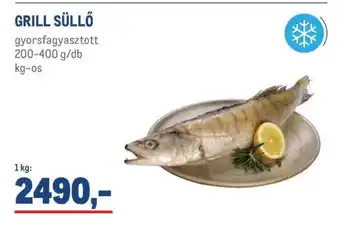 Metro GRILL SÜLLŐ ajánlat