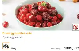 Family Frost Erdei gyümölcs mix ajánlat