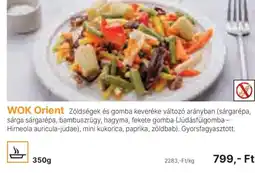 Family Frost WOK Orient ajánlat