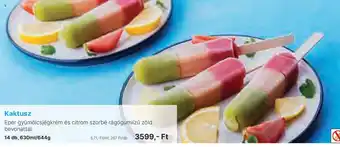 Family Frost Kaktusz ajánlat