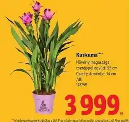 Lidl Kurkuma ajánlat