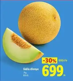 Lidl Gália dinnye ajánlat