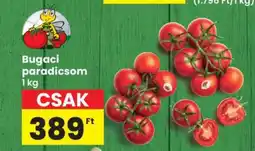 Interspar Bugaci paradicsom ajánlat