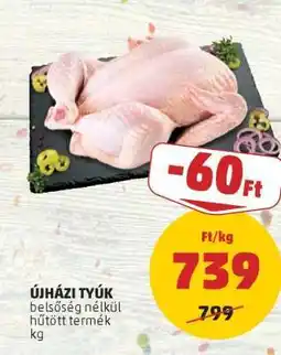 PENNY Újházi tyúk ajánlat