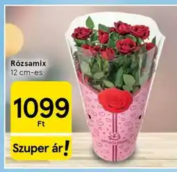 Tesco Rózsamix ajánlat