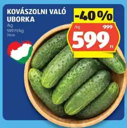 ALDI Kovászolni való uborka ajánlat